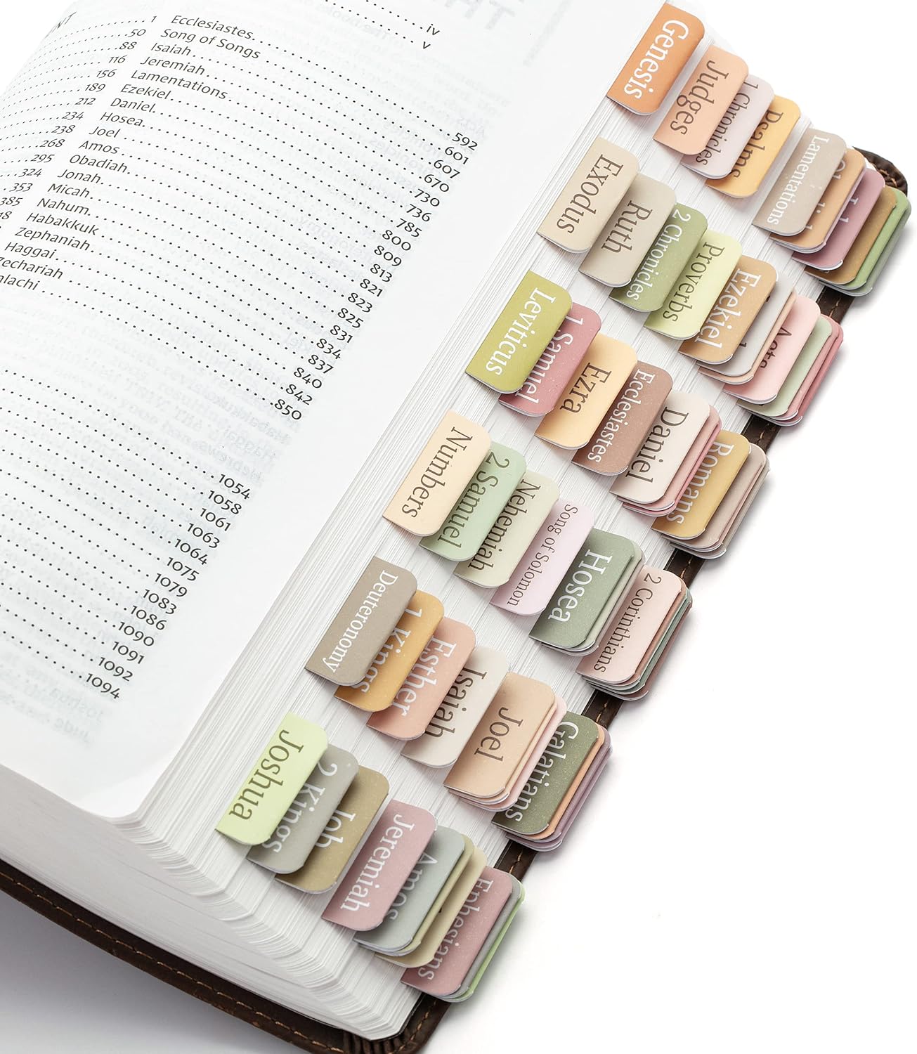Laminated Bible Tabs