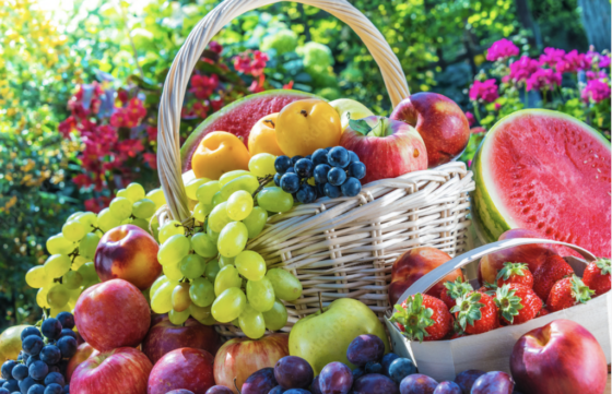 Luscious Garden Fruit - Parable of the Sower