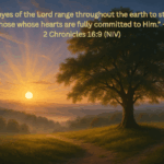 Tree in a field with a setting Sun “For the eyes of the Lord range throughout the earth to strengthen those whose hearts are fully committed to Him.” – 2 Chronicles 16:9 (NIV) copy