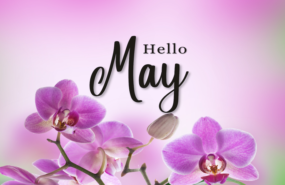 Hello May floral