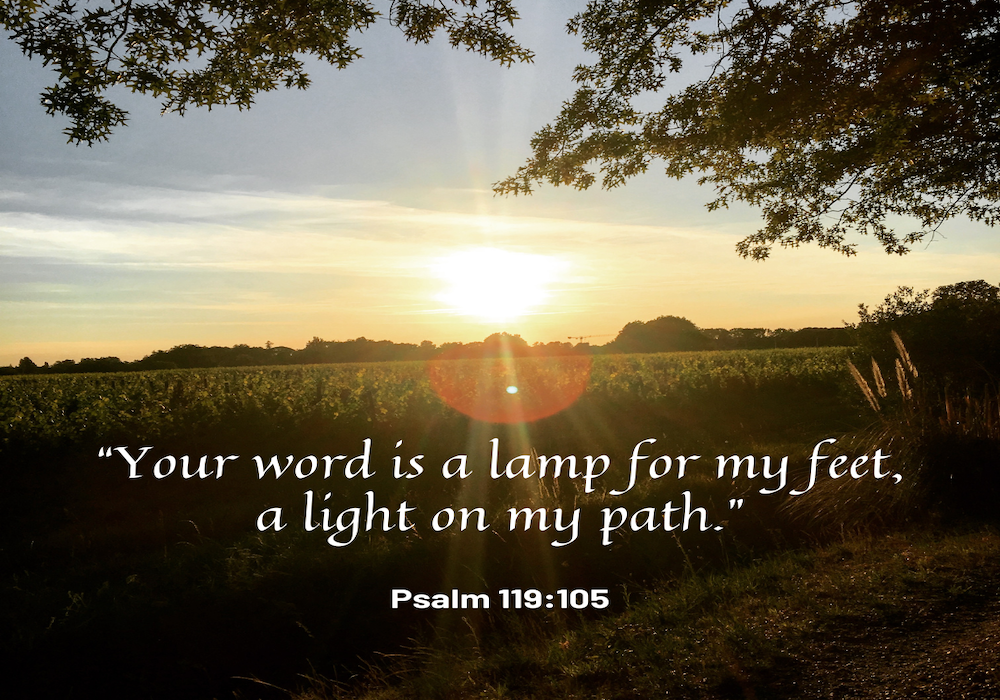 “Your word is a lamp for my feet, a light on my path. - Psalm 119:105 copy