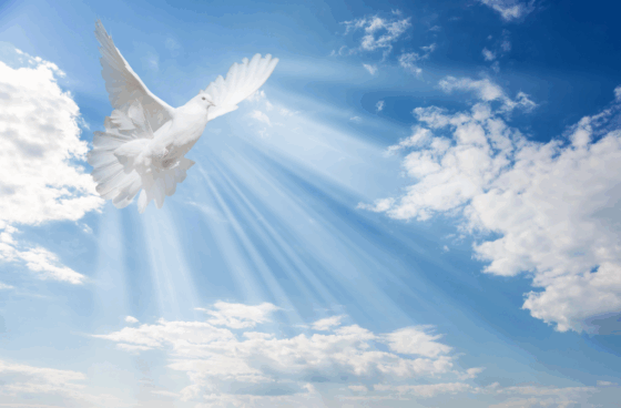 The Holy Spirit as a Dove